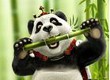 Bamboo Bónus ao fim-de-semana no Royal Panda