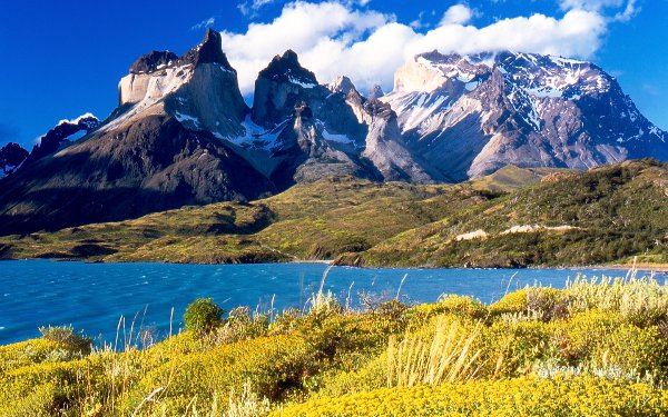 Patagonia